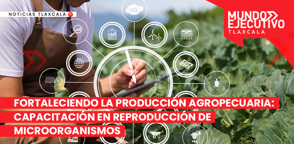Fortaleciendo La Producción Agropecuaria Capacitación En Reproducción De Microorganismos 2011