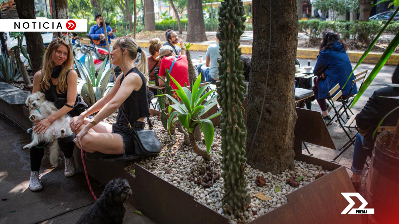 La llegada de nómadas digitales y la transformación de barrios como Condesa está desplazando a los residentes locales.