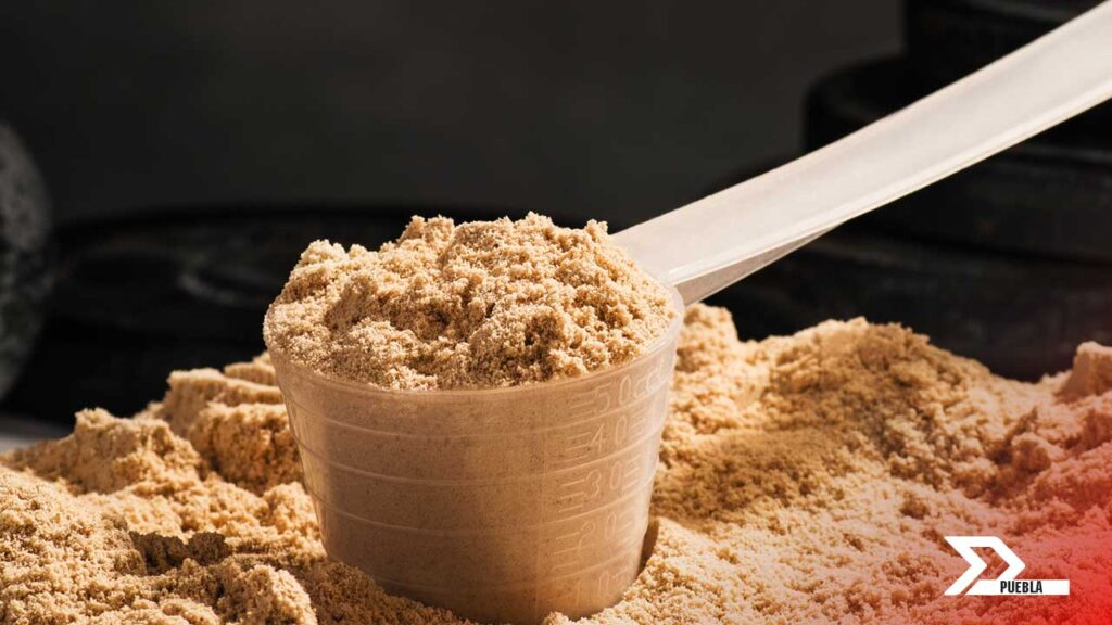 Descubre cómo la proteína en polvo contribuye al crecimiento muscular, la pérdida de peso y la recuperación. Conoce sus tipos, beneficios y riesgos.