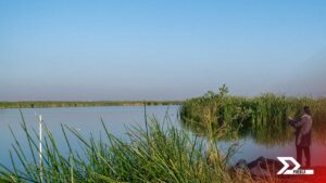 La UNESCO reconoce al Lago de Texcoco como Sitio Demostrativo de Ecohidrología, impulsando la conservación de la biodiversidad y la revitalización del patrimonio en el Valle de México.