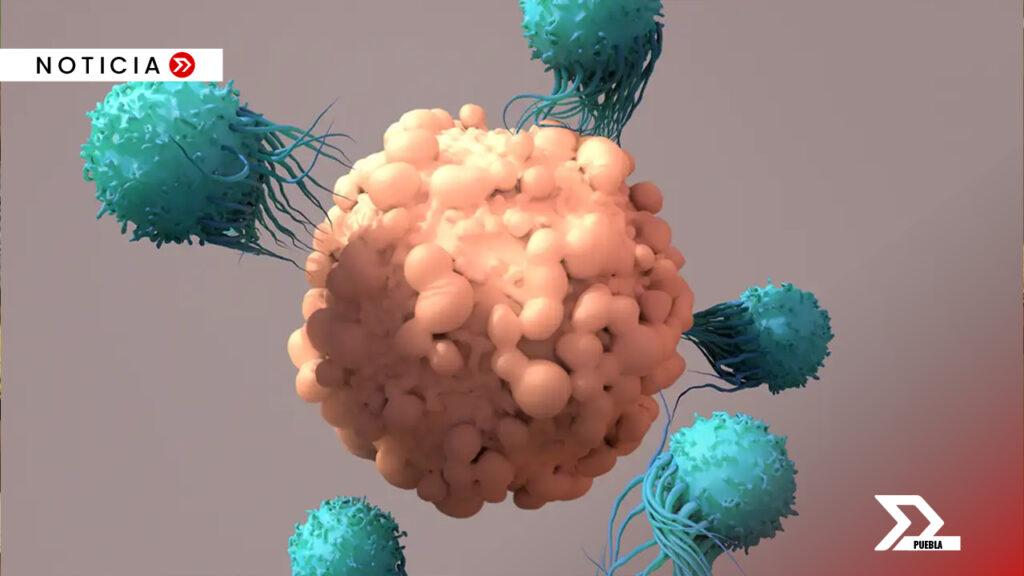 El tratamiento con células CAR-T, que modificó genéticamente linfocitos, ha permitido a una niña de Houston vencer el cáncer, marcando un avance prometedor en la inmunoterapia.