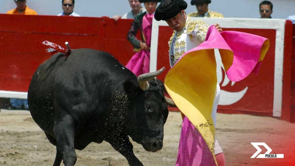 La Feria de Puebla 2025 elimina las corridas de toros por decisión del gobierno estatal. Conoce los motivos y cambios en el evento aquí.